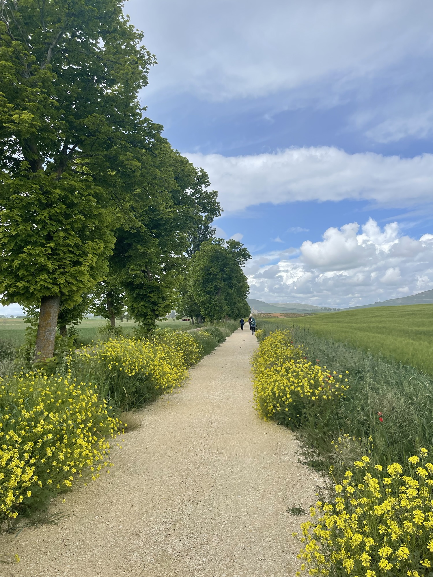 Complete Camino Packing List With Weights and Budget Options