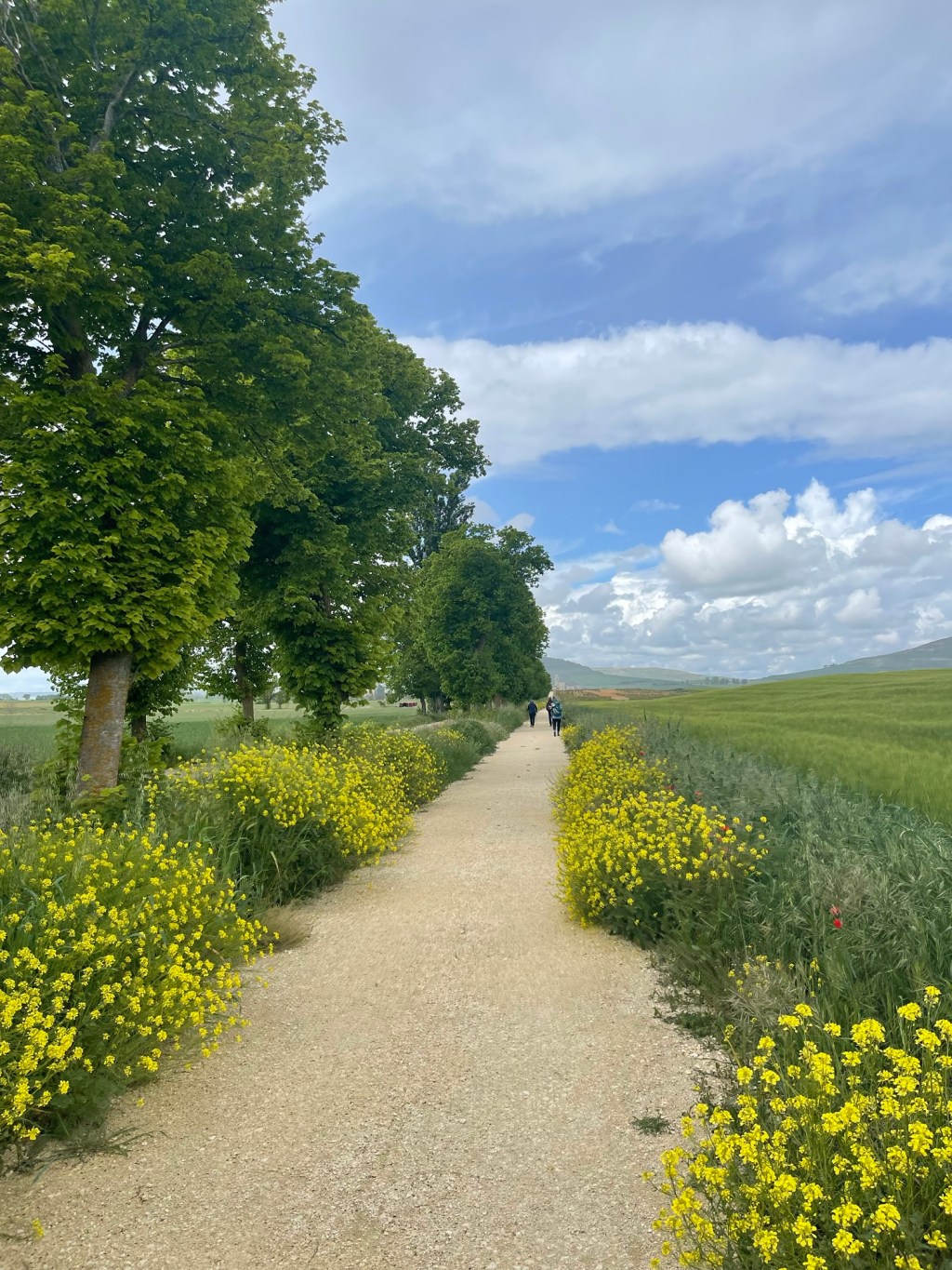 Complete Camino Packing List (With Weights and Budget&nbsp;Options)