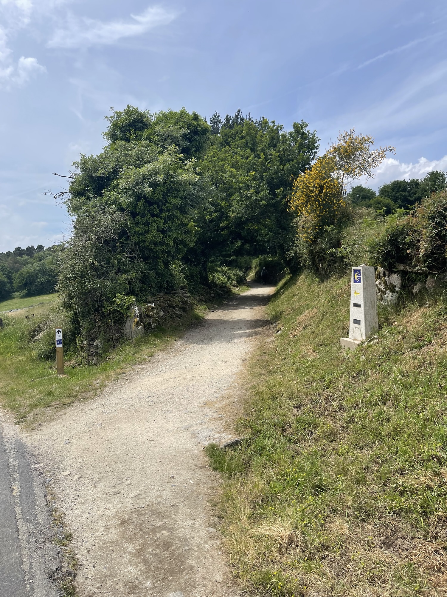 How to Choose your First Camino